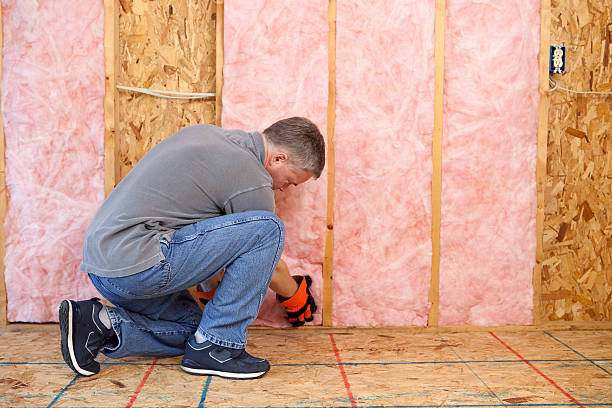 Best Insulation Installation Services in Ramapo College Of New Jersey, NJ